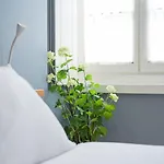 Guestready - Souto Downtown