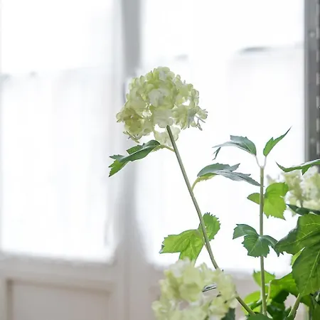 شقة Guestready - Souto Downtown