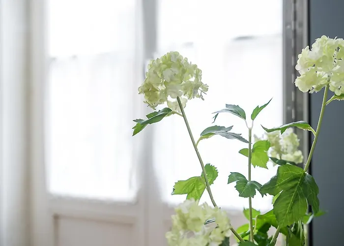 Apartment Guestready - Souto Downtown